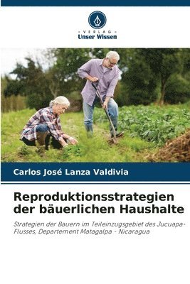 Reproduktionsstrategien der buerlichen Haushalte 1
