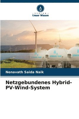 Netzgebundenes Hybrid-PV-Wind-System 1