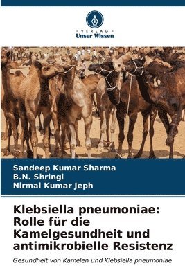 Klebsiella pneumoniae 1