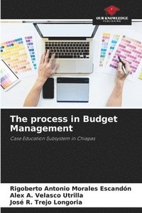 bokomslag The process in Budget Management