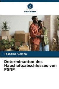 bokomslag Determinanten des Haushaltsabschlusses von PSNP