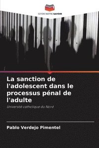 bokomslag La sanction de l'adolescent dans le processus pnal de l'adulte