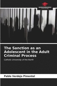 bokomslag The Sanction as an Adolescent in the Adult Criminal Process