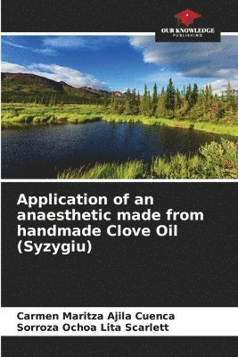 Application of an anaesthetic made from handmade Clove Oil (Syzygiu) 1