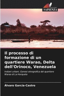 bokomslag Il processo di formazione di un quartiere Warao, Delta dell'Orinoco, Venezuela