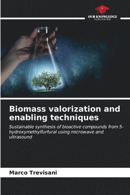 bokomslag Biomass valorization and enabling techniques