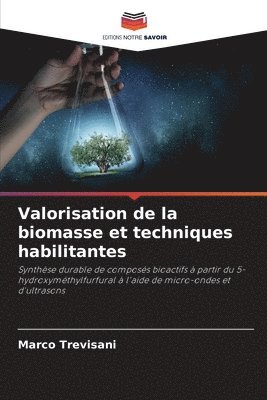 bokomslag Valorisation de la biomasse et techniques habilitantes