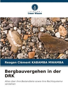 bokomslag Bergbauvergehen in der DRK