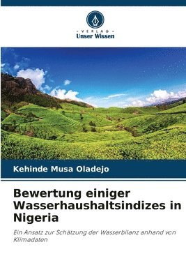 bokomslag Bewertung einiger Wasserhaushaltsindizes in Nigeria