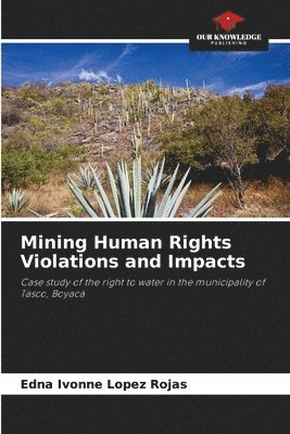 bokomslag Mining Human Rights Violations and Impacts