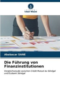 bokomslag Die Fhrung von Finanzinstitutionen