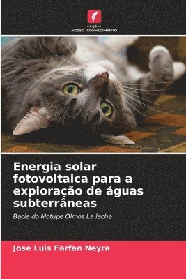 bokomslag Energia solar fotovoltaica para a explorao de guas subterrneas