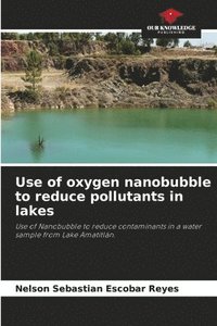 bokomslag Use of oxygen nanobubble to reduce pollutants in lakes