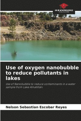 Use of oxygen nanobubble to reduce pollutants in lakes 1