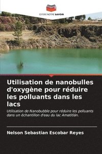 bokomslag Utilisation de nanobulles d'oxygne pour rduire les polluants dans les lacs