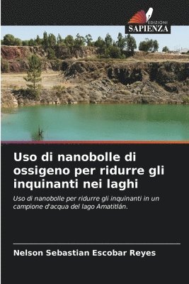 bokomslag Uso di nanobolle di ossigeno per ridurre gli inquinanti nei laghi