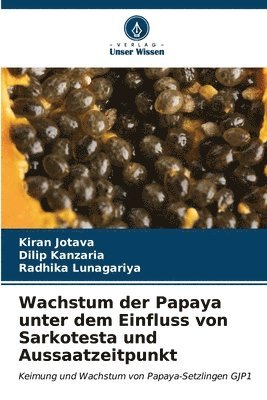 Wachstum der Papaya unter dem Einfluss von Sarkotesta und Aussaatzeitpunkt 1