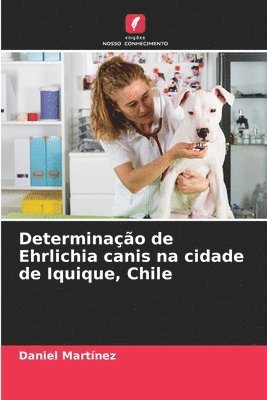 Determinao de Ehrlichia canis na cidade de Iquique, Chile 1