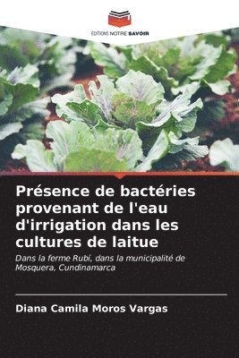 Prsence de bactries provenant de l'eau d'irrigation dans les cultures de laitue 1