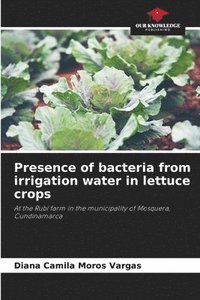 bokomslag Presence of bacteria from irrigation water in lettuce crops