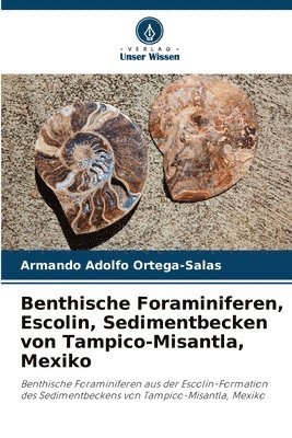 Benthische Foraminiferen, Escolin, Sedimentbecken von Tampico-Misantla, Mexiko 1