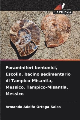 Foraminiferi bentonici, Escolin, bacino sedimentario di Tampico-Misantla, Messico. Tampico-Misantla, Messico 1
