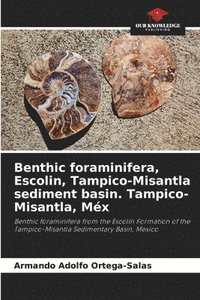 bokomslag Benthic foraminifera, Escolin, Tampico-Misantla sediment basin. Tampico-Misantla, Mx