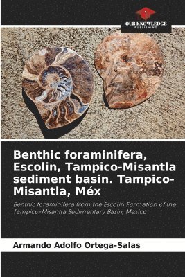Benthic foraminifera, Escolin, Tampico-Misantla sediment basin. Tampico-Misantla, Mx 1