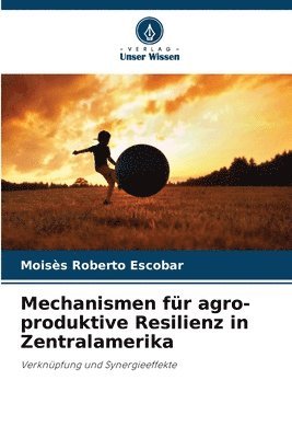 Mechanismen fr agro-produktive Resilienz in Zentralamerika 1