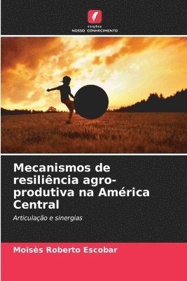 Mecanismos de resilincia agro-produtiva na Amrica Central 1