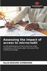 bokomslag Assessing the impact of access to microcredit