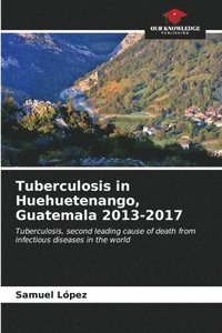 bokomslag Tuberculosis in Huehuetenango, Guatemala 2013-2017