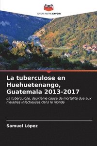 bokomslag La tuberculose en Huehuetenango, Guatemala 2013-2017