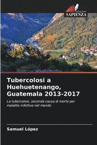 bokomslag Tubercolosi a Huehuetenango, Guatemala 2013-2017