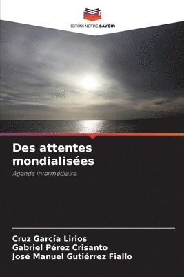 bokomslag Des attentes mondialises