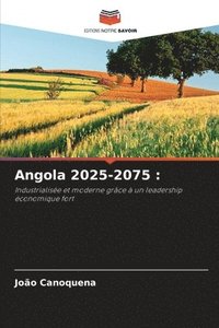 bokomslag Angola 2025-2075