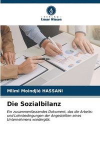 bokomslag Die Sozialbilanz