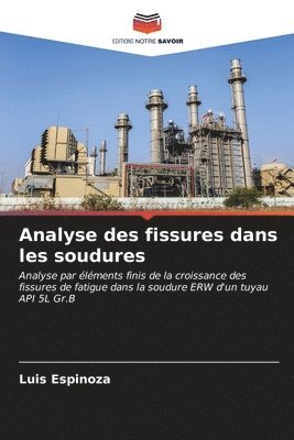 Analyse des fissures dans les soudures 1