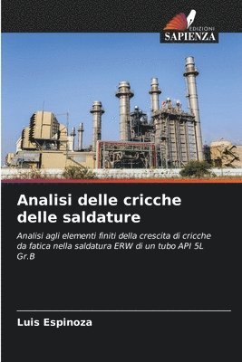 bokomslag Analisi delle cricche delle saldature