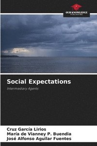 bokomslag Social Expectations