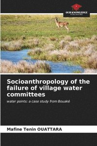 bokomslag Socioanthropology of the failure of village water committees