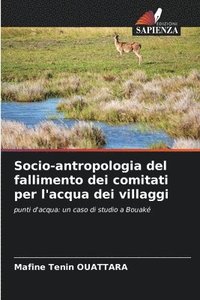 bokomslag Socio-antropologia del fallimento dei comitati per l'acqua dei villaggi