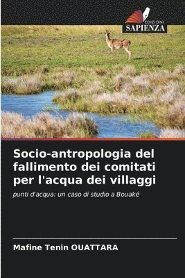 Socio-antropologia del fallimento dei comitati per l'acqua dei villaggi 1