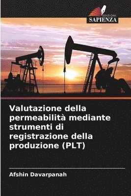 Valutazione della permeabilit mediante strumenti di registrazione della produzione (PLT) 1