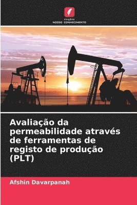 Avaliao da permeabilidade atravs de ferramentas de registo de produo (PLT) 1