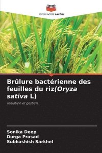 bokomslag Brlure bactrienne des feuilles du riz(Oryza sativa L)