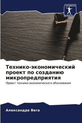 Технико-экономический проект по созданию