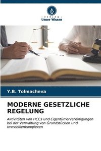 bokomslag Moderne Gesetzliche Regelung