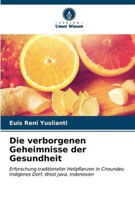 bokomslag Die verborgenen Geheimnisse der Gesundheit