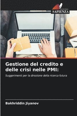 bokomslag Gestione del credito e delle crisi nelle PMI